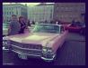 Thumbnail 19