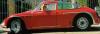 Castiglioni’s Mystery Machine: The Kübelwagen That Dreamed of Being a Sports Car photo 2