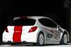 Peugeot 207 RCup photo 3