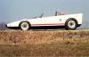 Alfa Romeo 33 Cuneo photo 7
