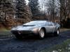 Alfa Romeo 33 Iguana photo 3