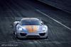 Porsche 918 RSR photo 2