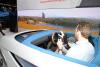 Honda Augmented Driving Concept photo 4