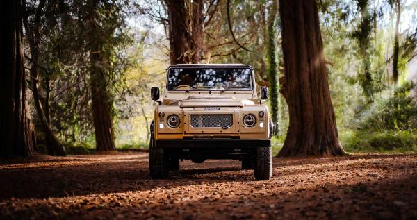 AVA Croxford Defender