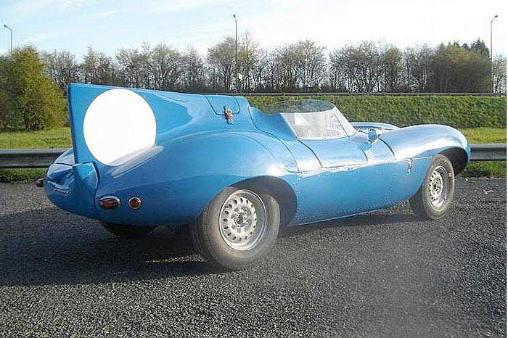 Tribute D Type