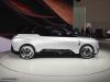 Geely Eva Cab Concept photo 14