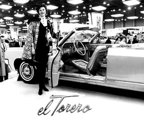 Model cover
