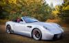 Panoz Esperante Convertible photo 1