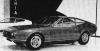 De Tomaso Mustela photo 5