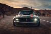 Ruffian OG Mustang photo 1