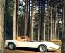 Alfa Romeo P33 Roadster photo 9