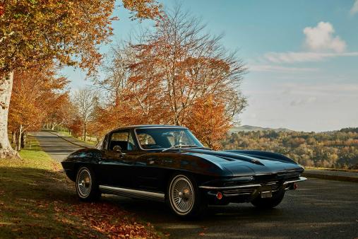 AVA Stingray