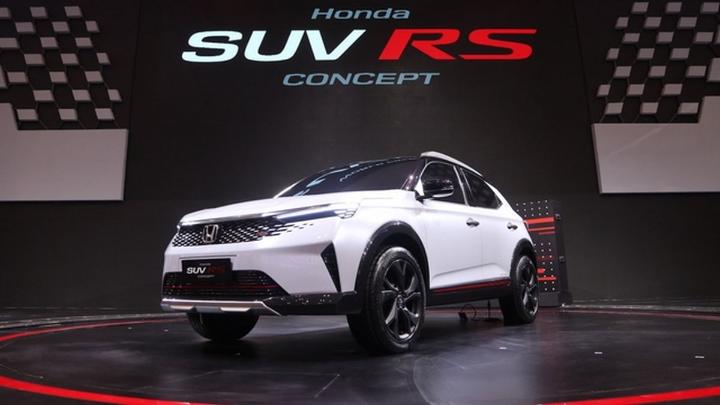 Model cover