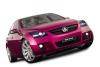 Holden Torana TT36 photo 6