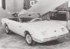 TVR Tina (Spyder) photo 4