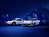 Alpine Vision Concept photo 9