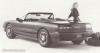 Lincoln Vignale Gilda photo 5
